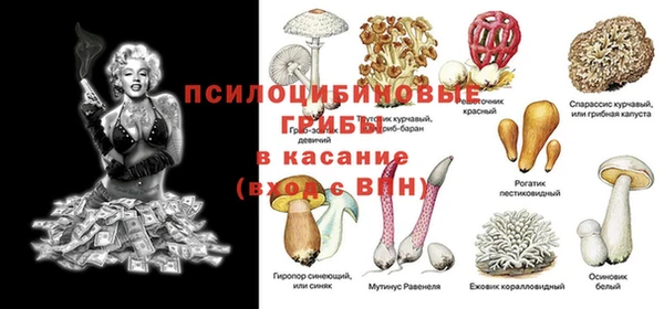 Альфа ПВП Белокуриха