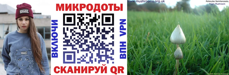 Псилоцибиновые грибы Psilocybine cubensis  маркетплейс как зайти  Югорск 